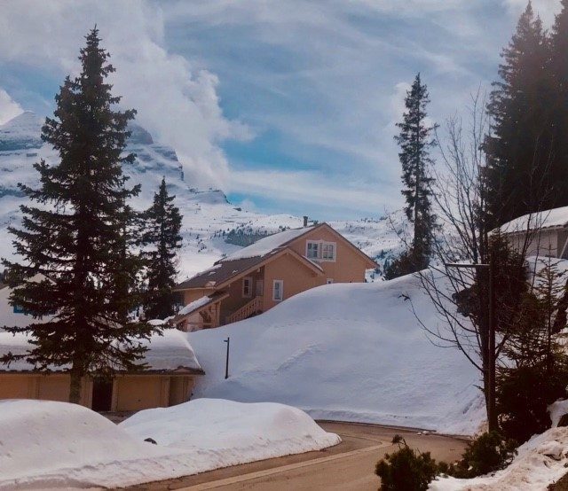 Le chalet en hiver